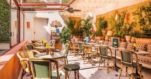 rooftop-paris-petit-toit