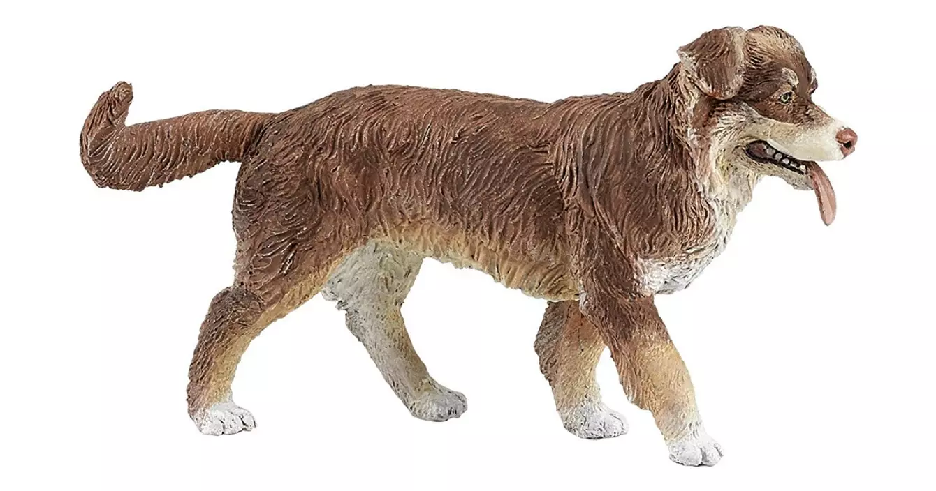 figurine-berger-australien