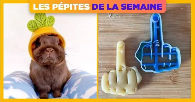 UNE_SHOPPING_PEPITE_SEMAINE_33