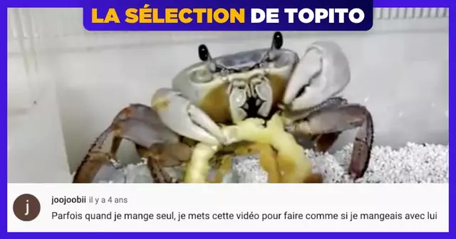 une-top-commentaires-chelou-youtube-2