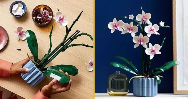 lego orchidee fleur eternelle