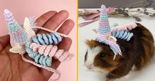 costume-licorne-cochon-inde