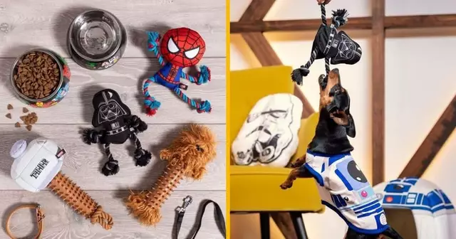 jouets-avengers-star-wars-chien