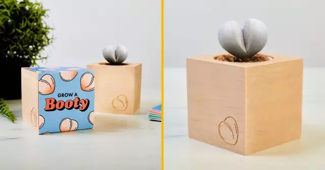 pot-pousser-plante-succulente-forme-fesses