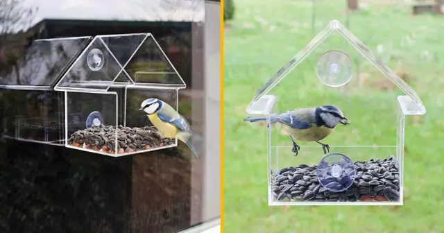 mangeoire-oiseaux