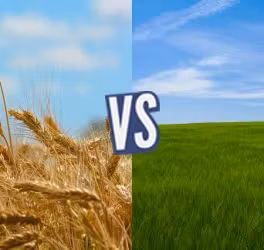 battle-367714-1428052220