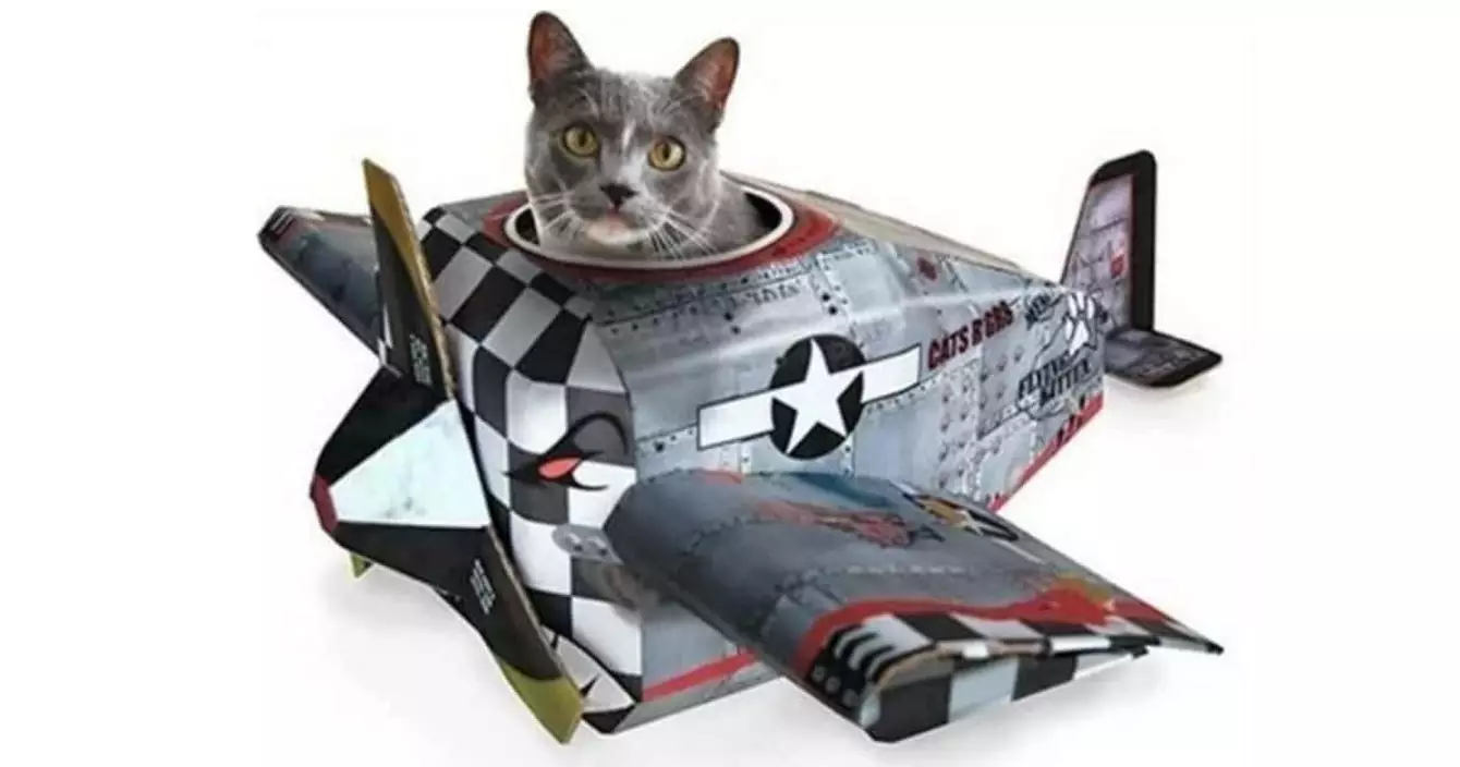 avion-chat