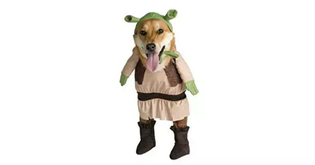 costume-chien-shrek