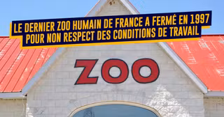 zoo