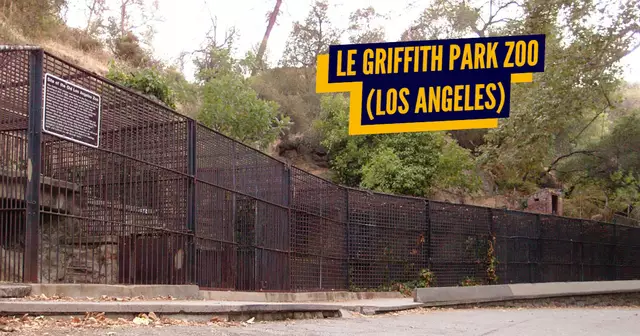 top zoo abandonnés