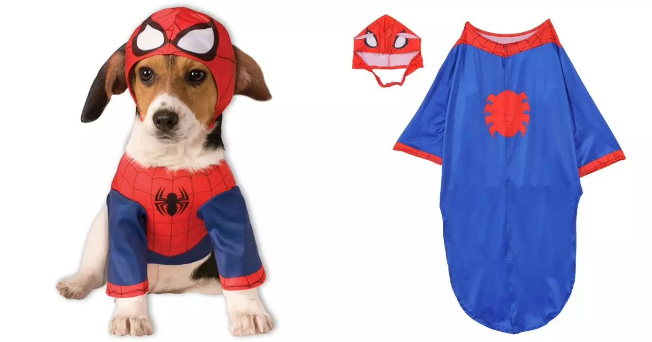 costume-spiderman-chien
