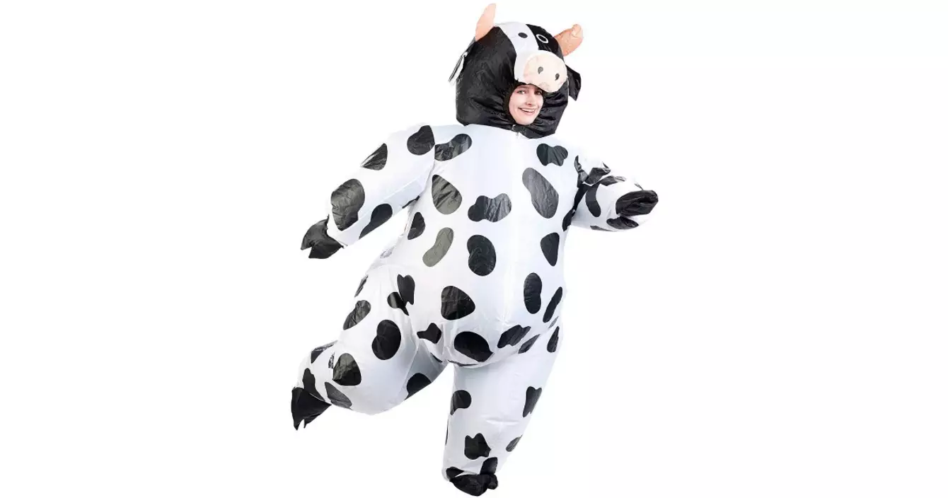 costume-vache