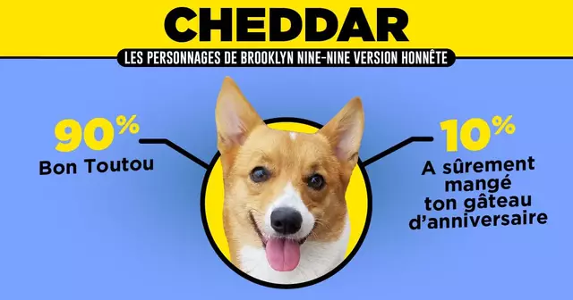 CHEDDAR UNE