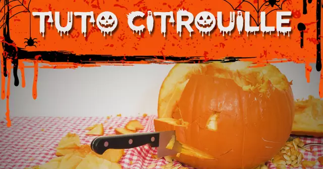 VIGNETTE_CITROUILLE0