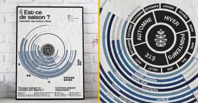 affiche calendrier saison fruit legume