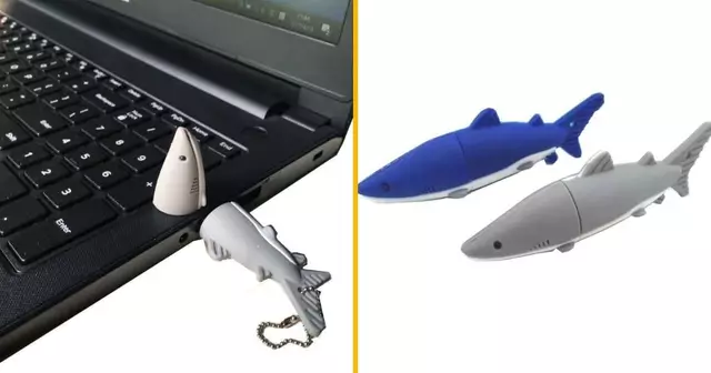 clef-usb-requin