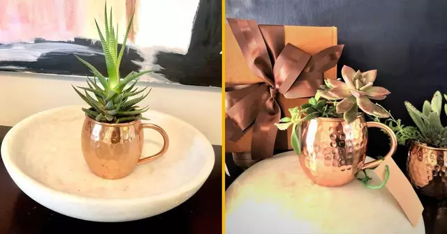 succulente-moscow-mule