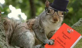 une_animauxinteligents