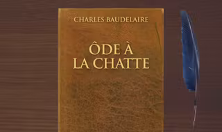une_livre_cul