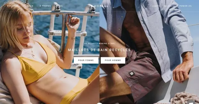 site-made-in-france-hopaal