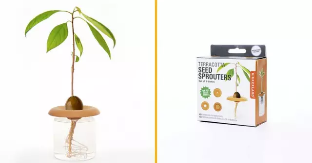 germoirs-graines-terre-cuite