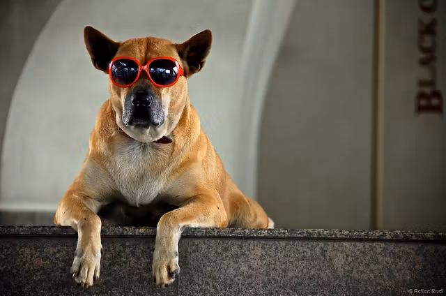 3545177630_13b22b592b_b