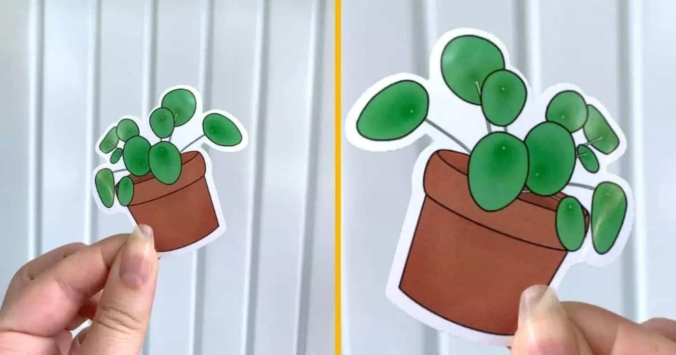 autocollant-pilea-tout-mimi