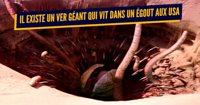 une_trucs_mieux_pas_savoir