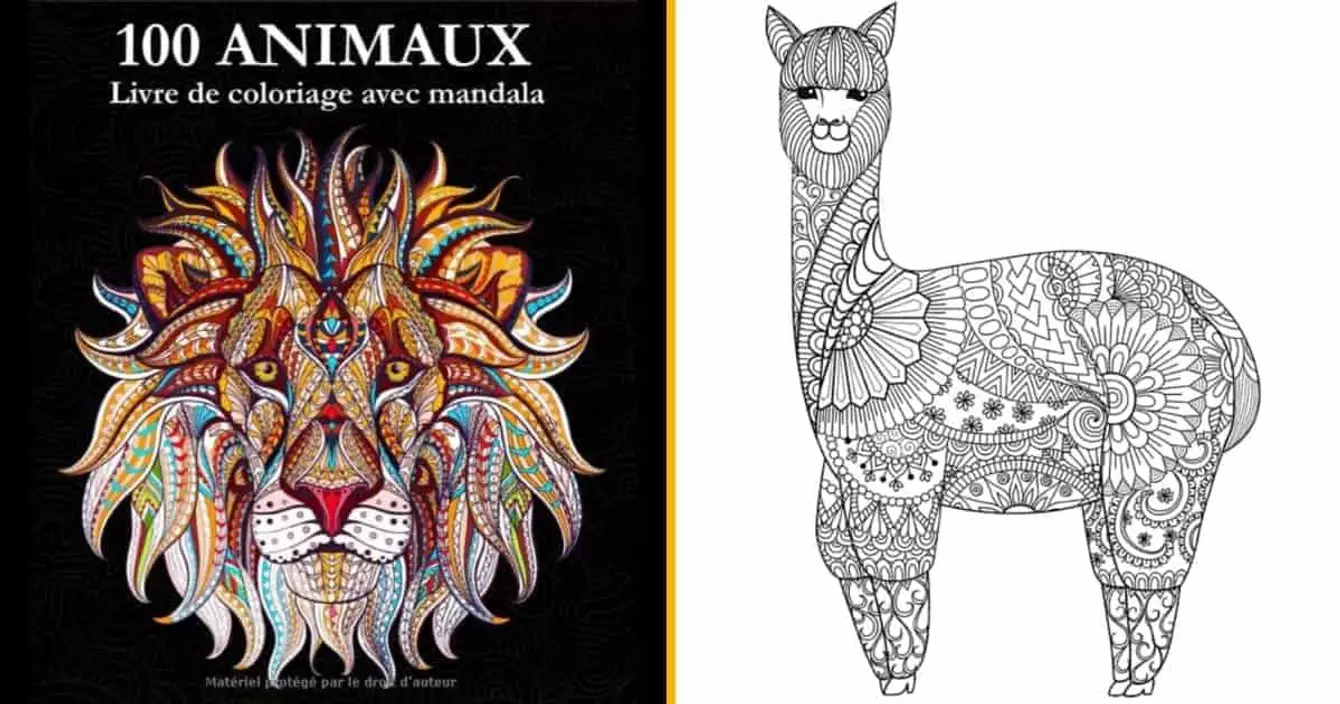 livre-coloriage-mandalas-adultes