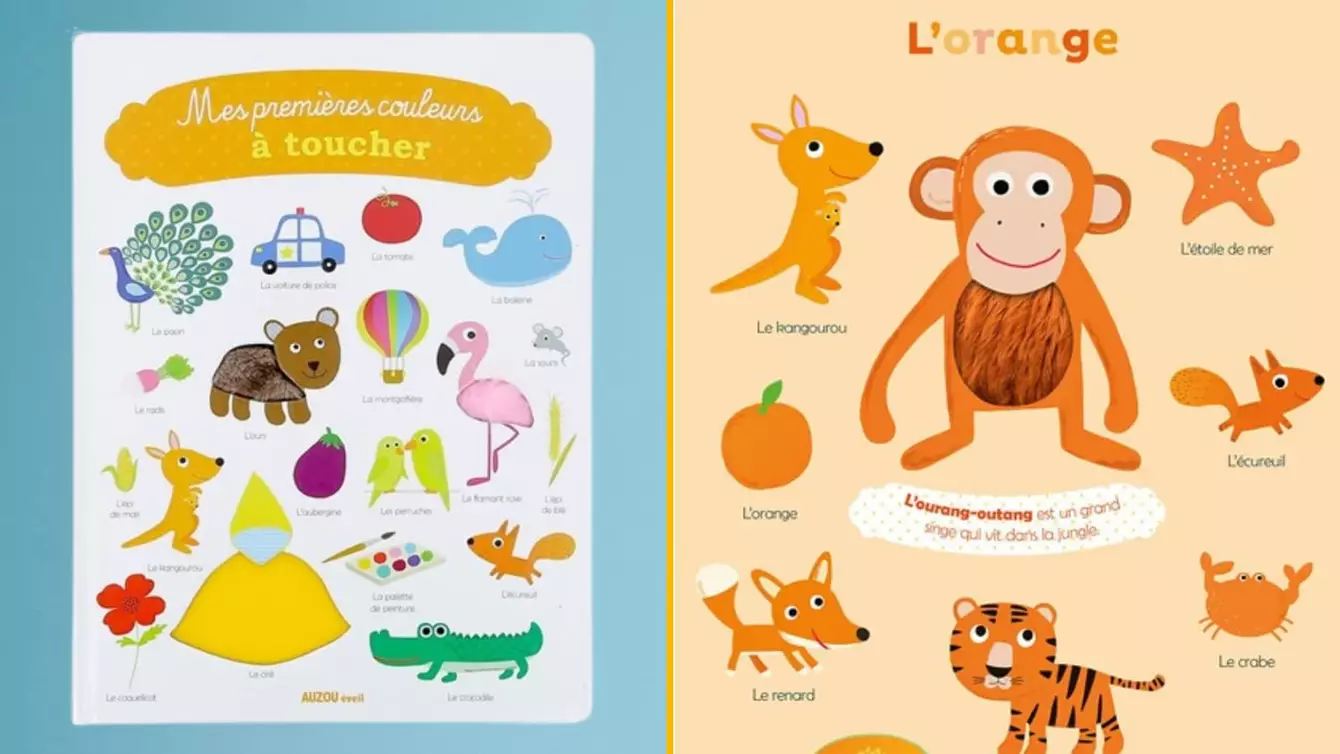 livre-eveiller-couleurs-matieres