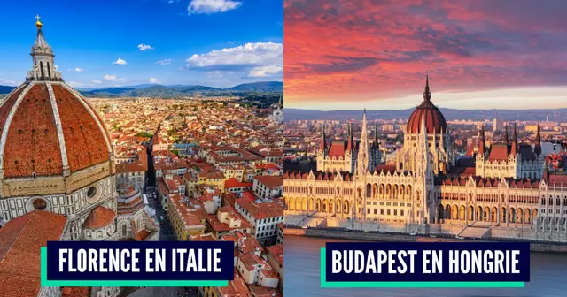 PicMonkey Image (21)