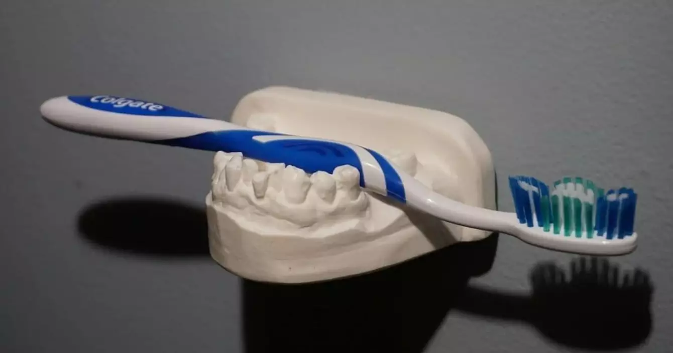 porte-brosse-a-dent-dent