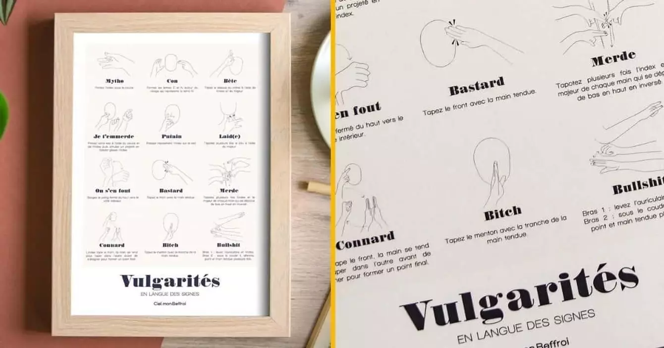 affiche-insultes-langue-signes