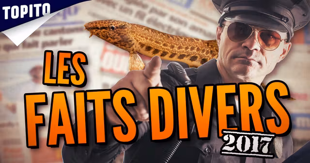 VIDEO_95_TOP_CHAMPIONS_ANNEE_2017_FAITS_DIVERS_VIGNETTE_SITE