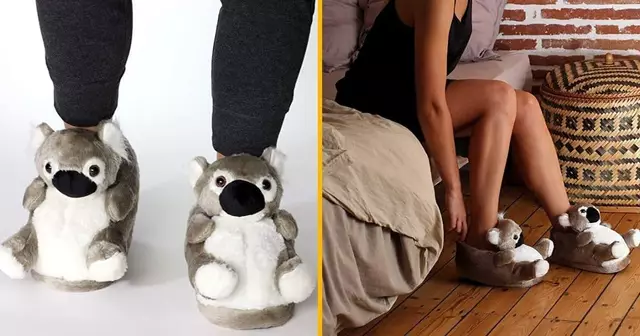 chaussons-koala