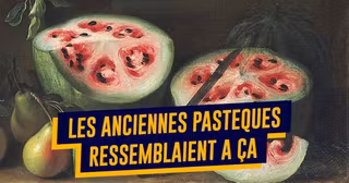 top fruits legumes anciens