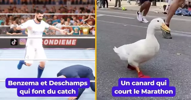 Copie de UNE Quentin - TOUS LES RDV