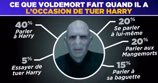 PERSO_HARRY_POTTER_HONNETE_UNE