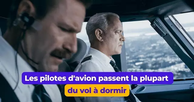 MetiersConnaitPasVraimentQuotidien (1)