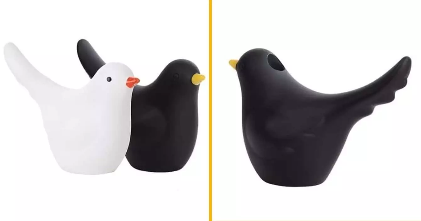 petit-arrosoir-oiseau