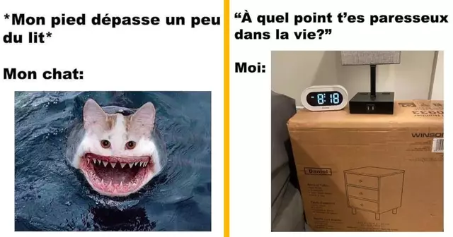 top memes conneriesqc