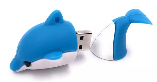 cle-usb-dauphin