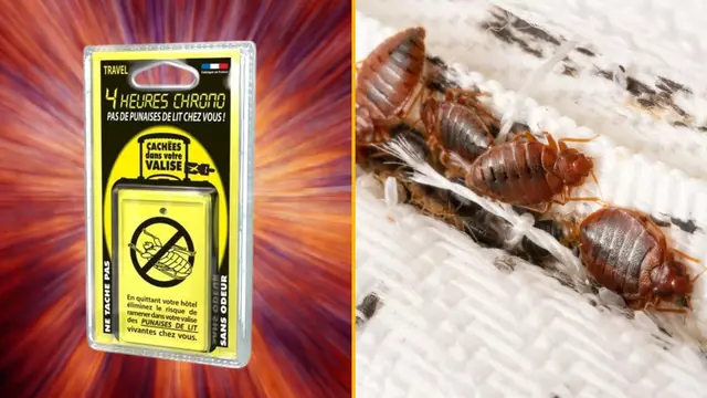 plaquette-proteger-punaises-lit