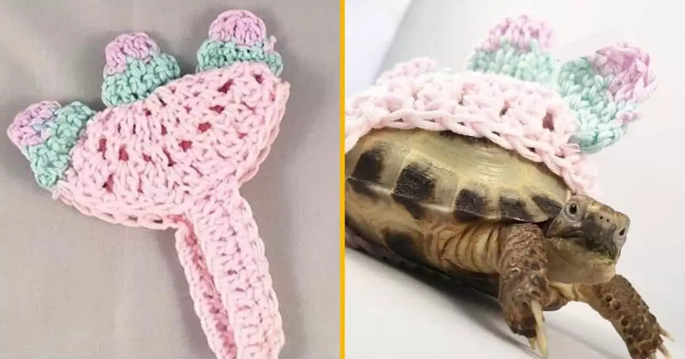 costume-dinosaure-tortue