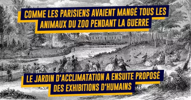 UNE_ATTRACTIONS_GLAUQUES