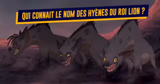 UNE-TOP-NOMS-PERSO-OUBLIES-2