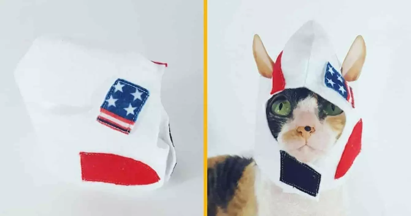 un-chapeau-fusee-pour-chat