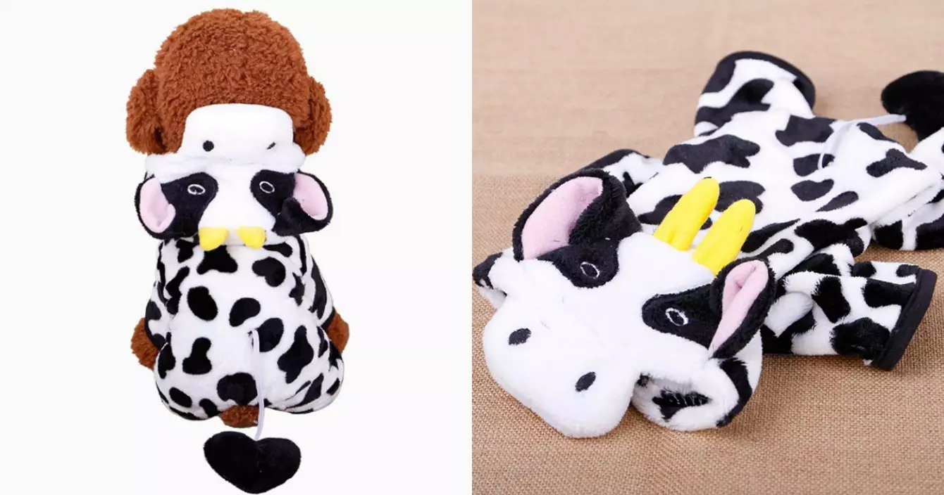 costume-vache-chien