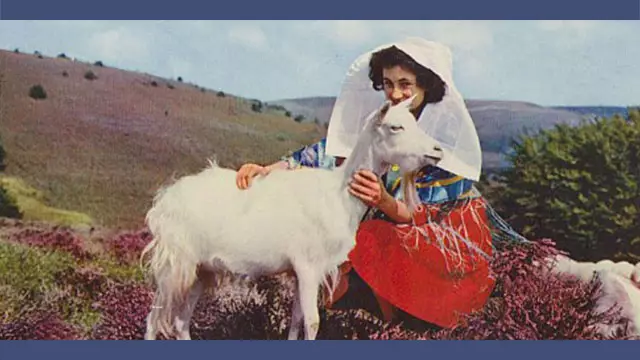 miniature-youtube-cartes-postales