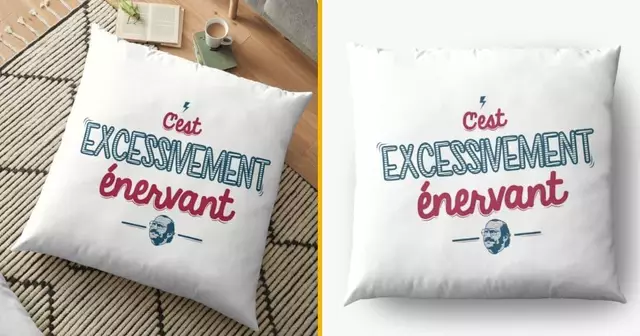 coussin-citations-francois-damiens
